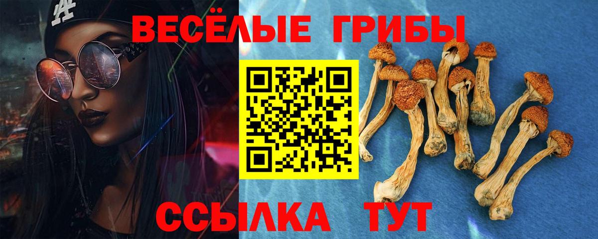 Галлюциногенные грибы Psilocybe  Галлюциногенные грибы Psilocybine cubensis  Вход с VPN  Первоуральск 
