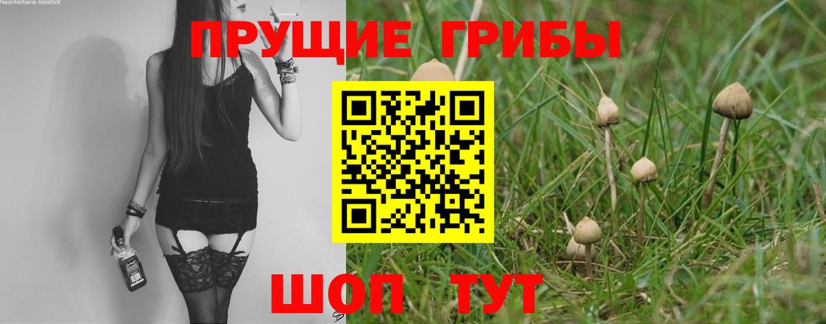 Галлюциногенные грибы Psilocybine cubensis Первоуральск